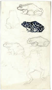 Visualizza l'immagine "FD D 92"